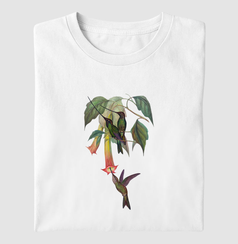 Beija-flor-bico-de-espada