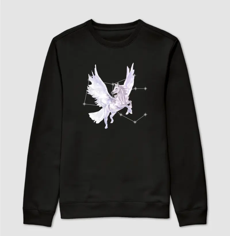 Pégaso e sua Constelação