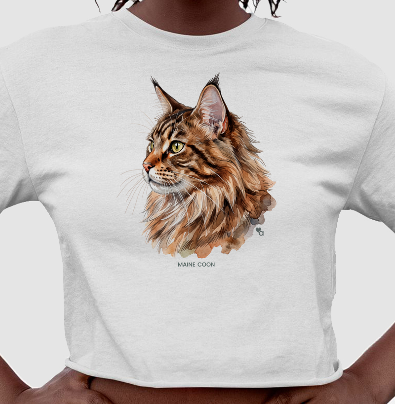 Gatos - Maine Coon - Cropped - Cropped