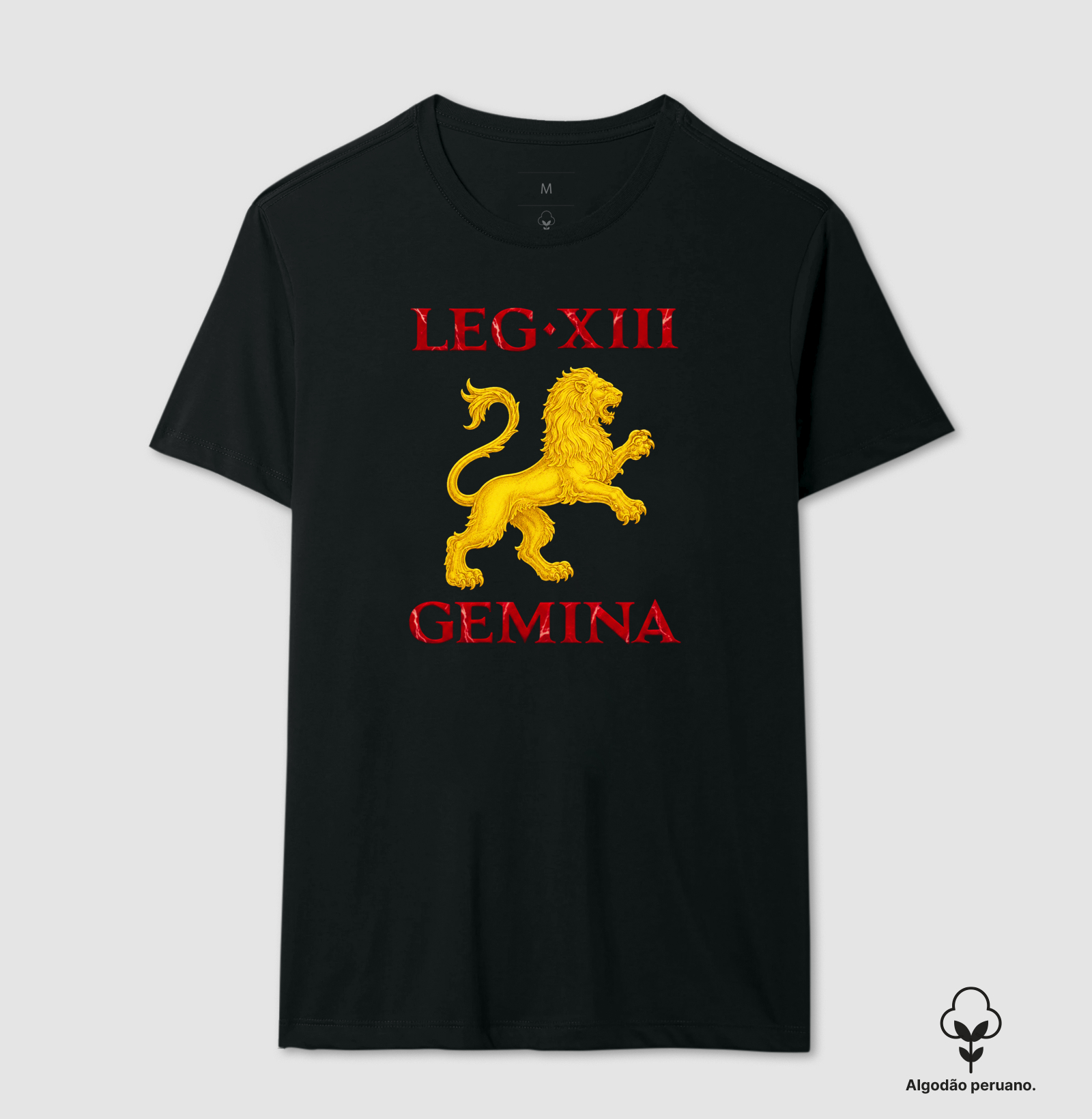 LEGIO — XIII Gemina - IIII