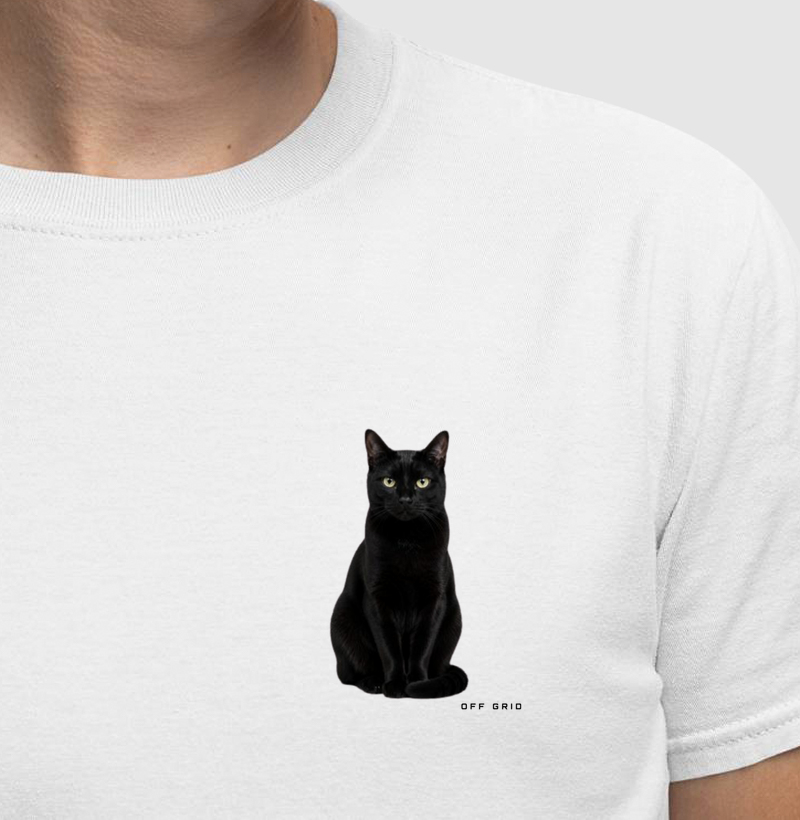Gato