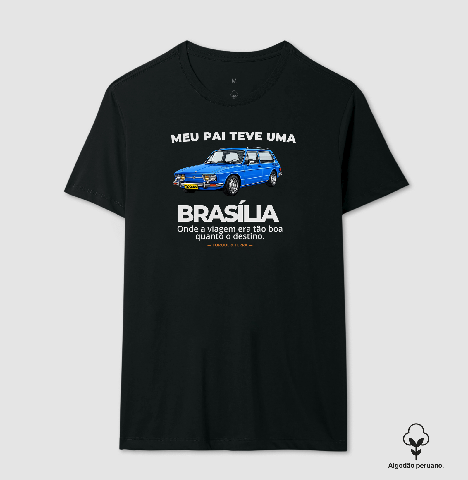 Meu pai teve uma - BRASÍLIA - azul