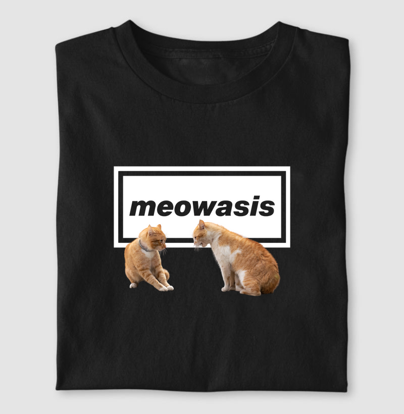 STARING FIGHT MEOWASIS