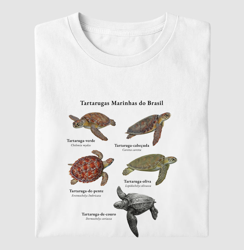 Tartarugas Marinhas do Brasil