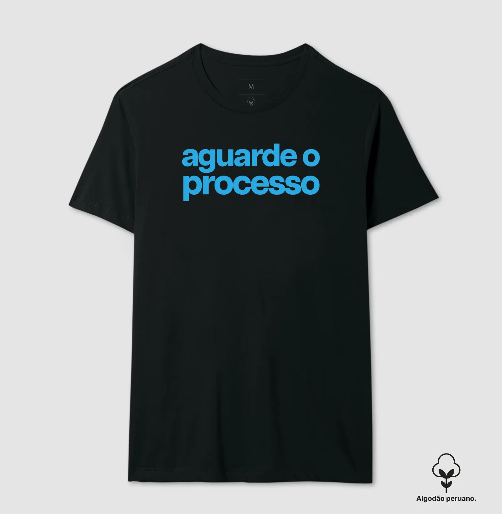 Aguarde o processo