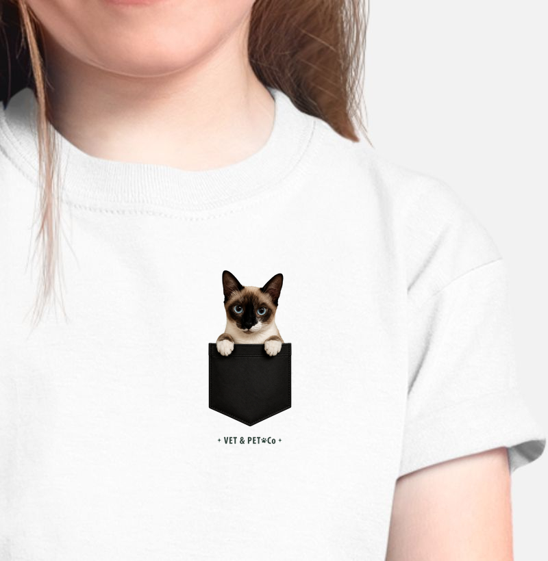 Gato de bolso (Pelagem Siamês)