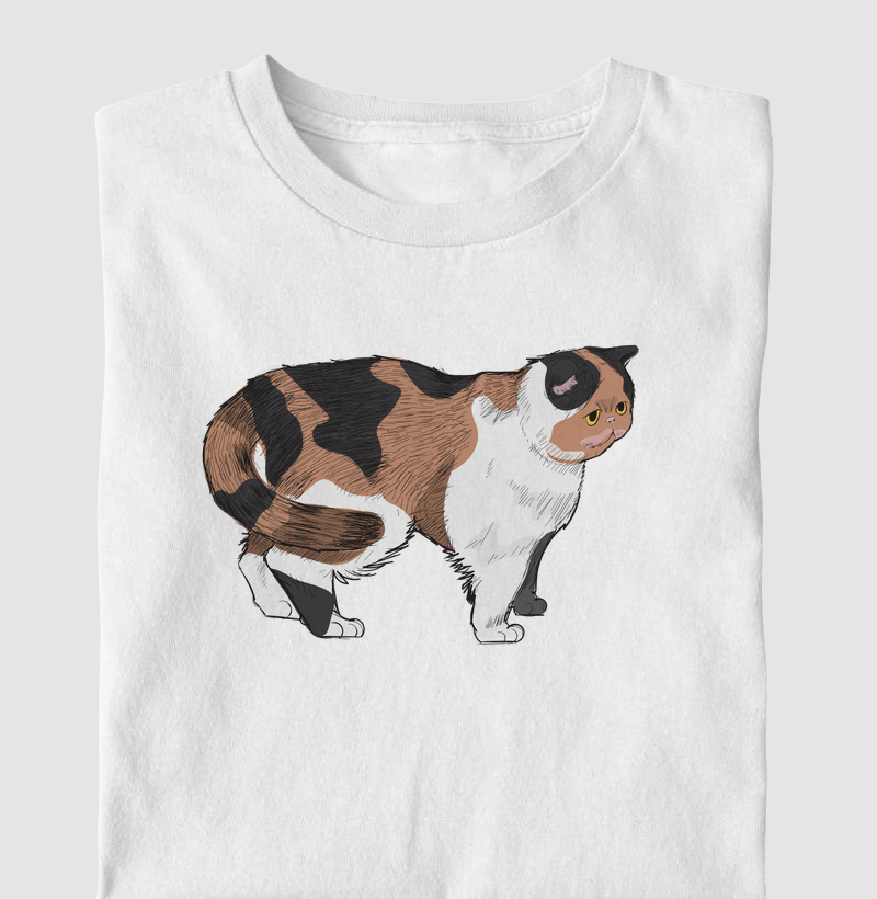 Exotic Shorthair