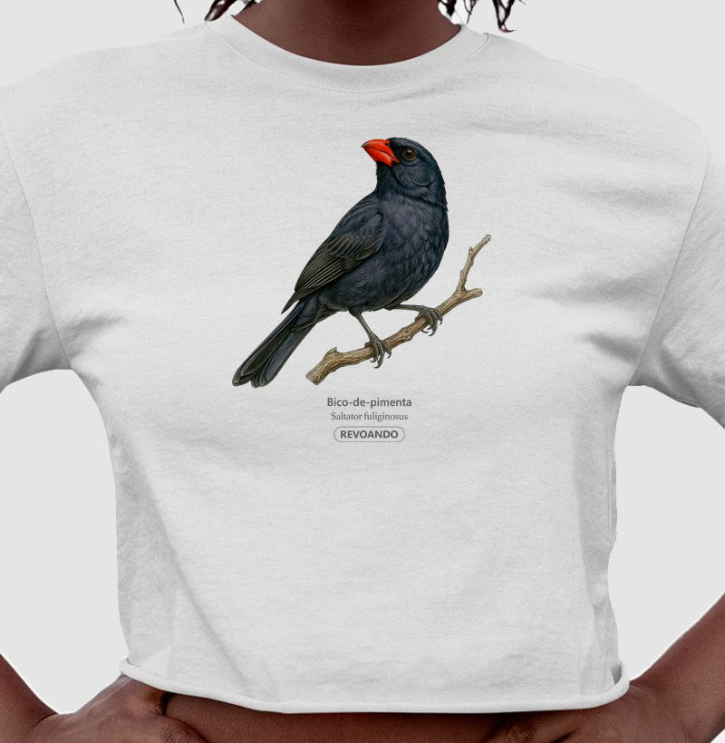 Traços Alados - Bico-de-pimenta - Cropped