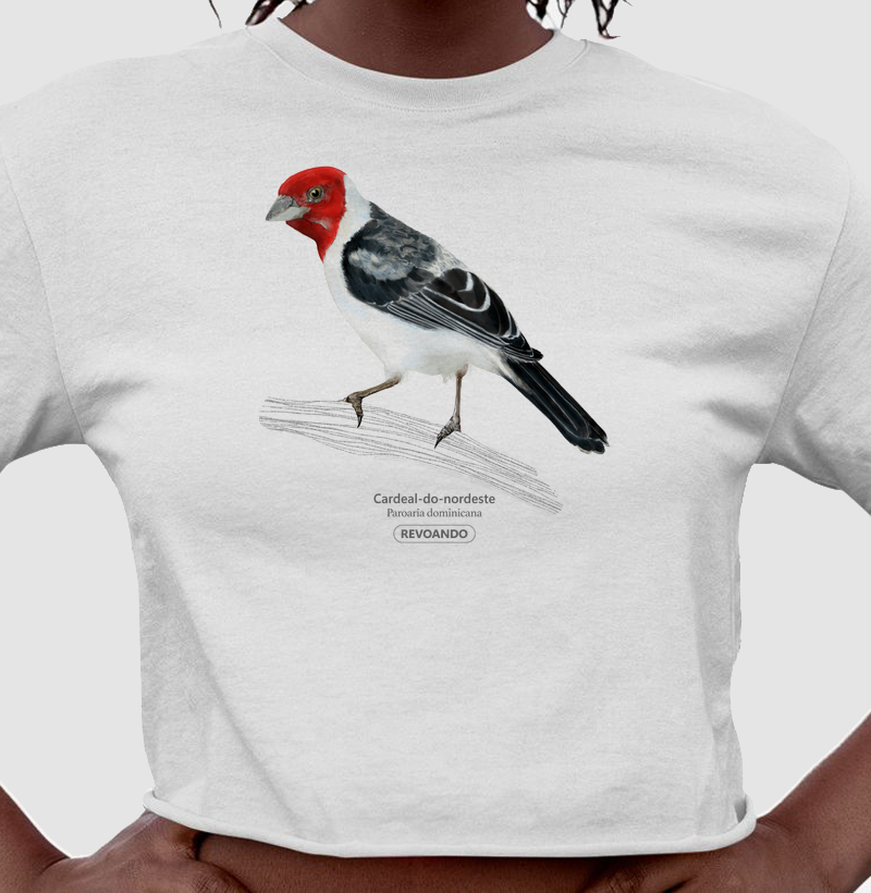Aves do Brasil - Cardeal do Nordeste - Cropped