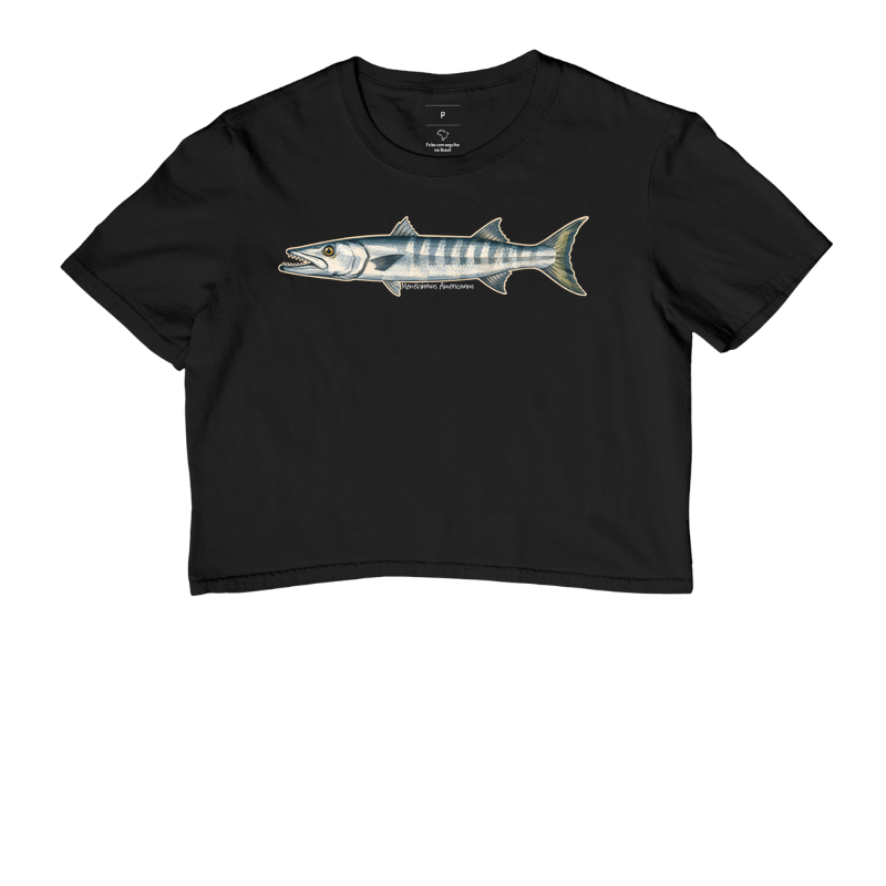 Barracuda