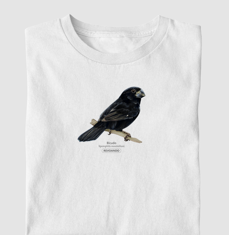 Aves do Brasil - Bicudo - Infantil