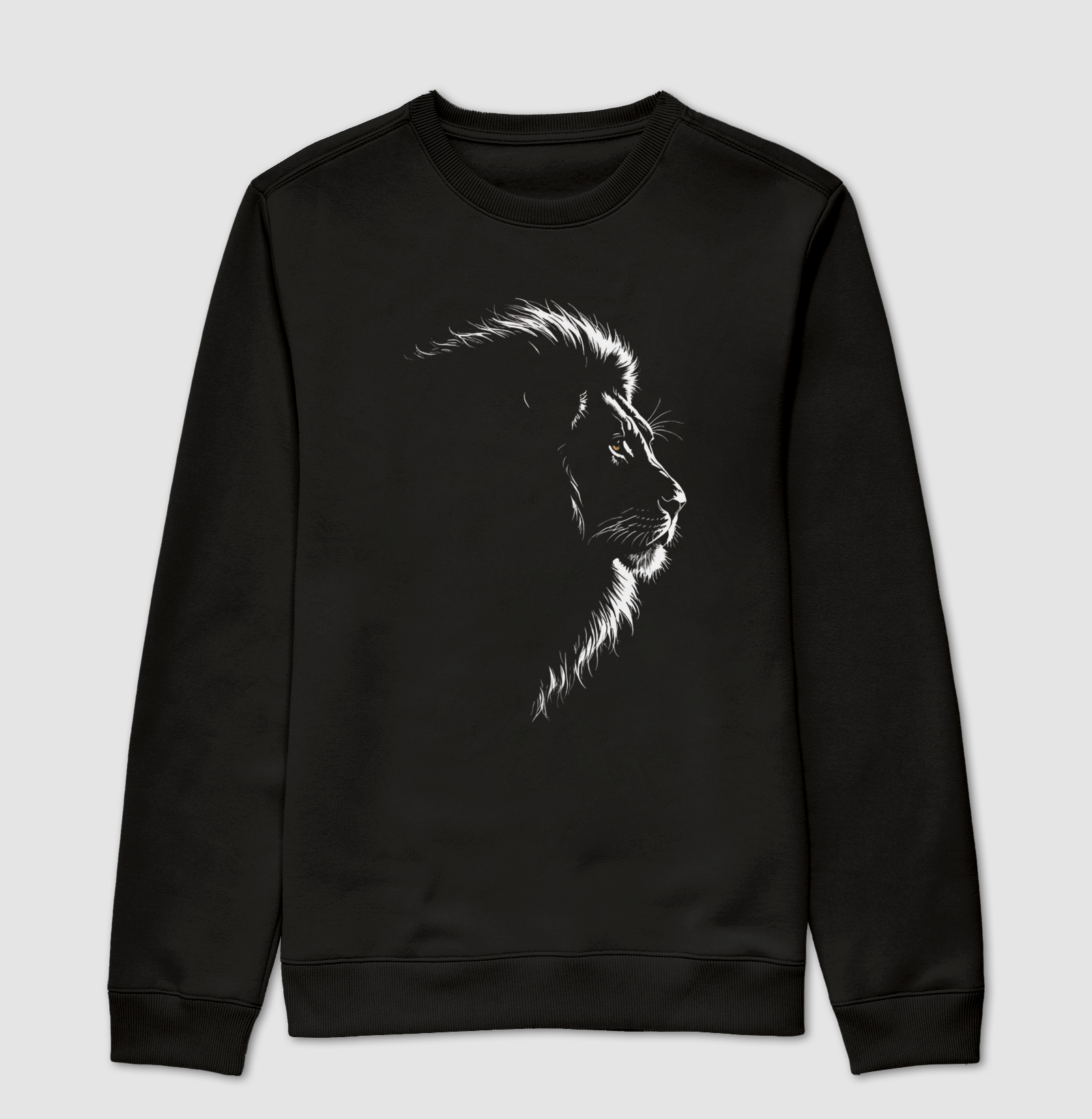 Lion in the dim light