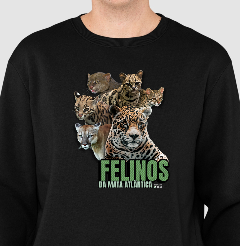 FELINOS DA MATA ATLÂNTICA - Coleção Mata Atlântica