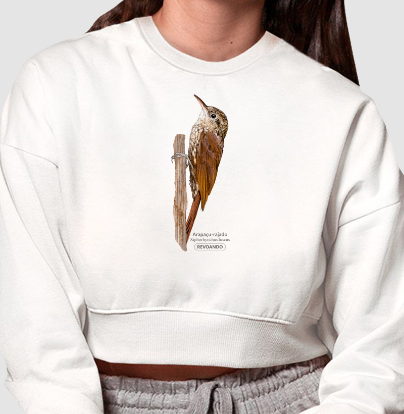 Aves do Brasil - Arapaçu-rajado - Moletom Cropped