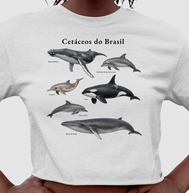 Cetáceos do Brasil