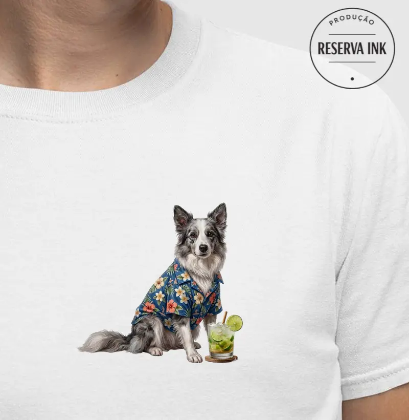 Border Collie Cinza - Férias