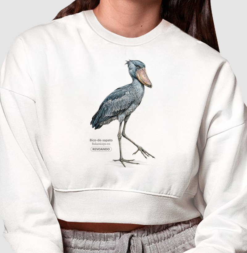 Traços Alados - Bico-de-sapato - Moletom Cropped