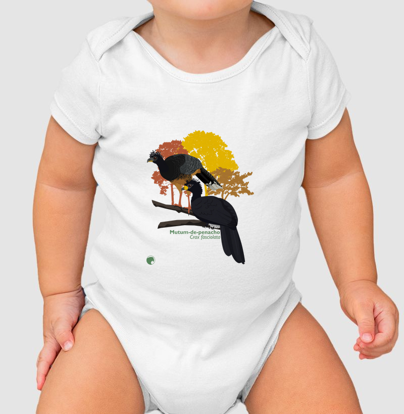 Body Mutum-de-penacho