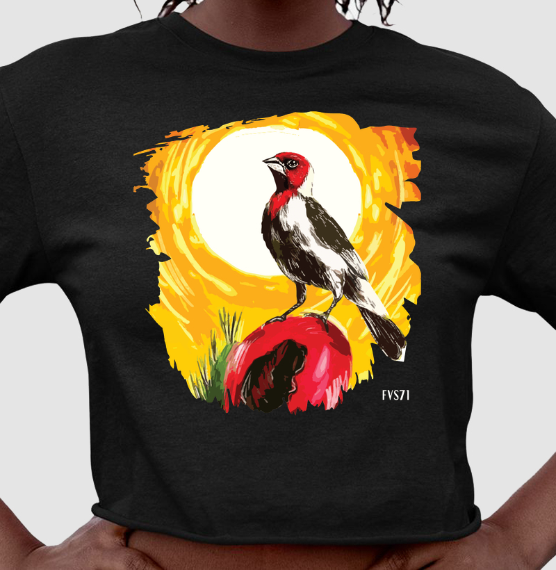 Cardeal no Nordeste 1.0