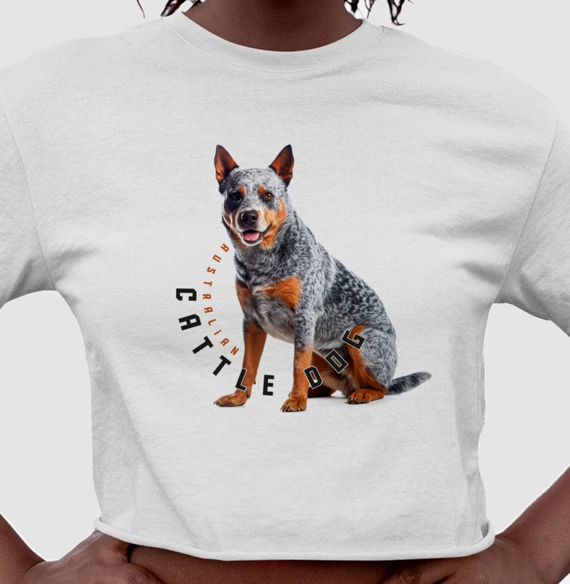 Australian Cattle Dog Ai