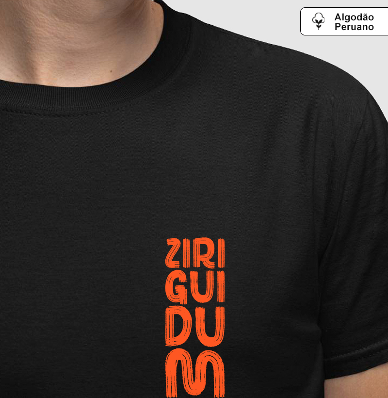 Samba - Ziriguidum de Bolso