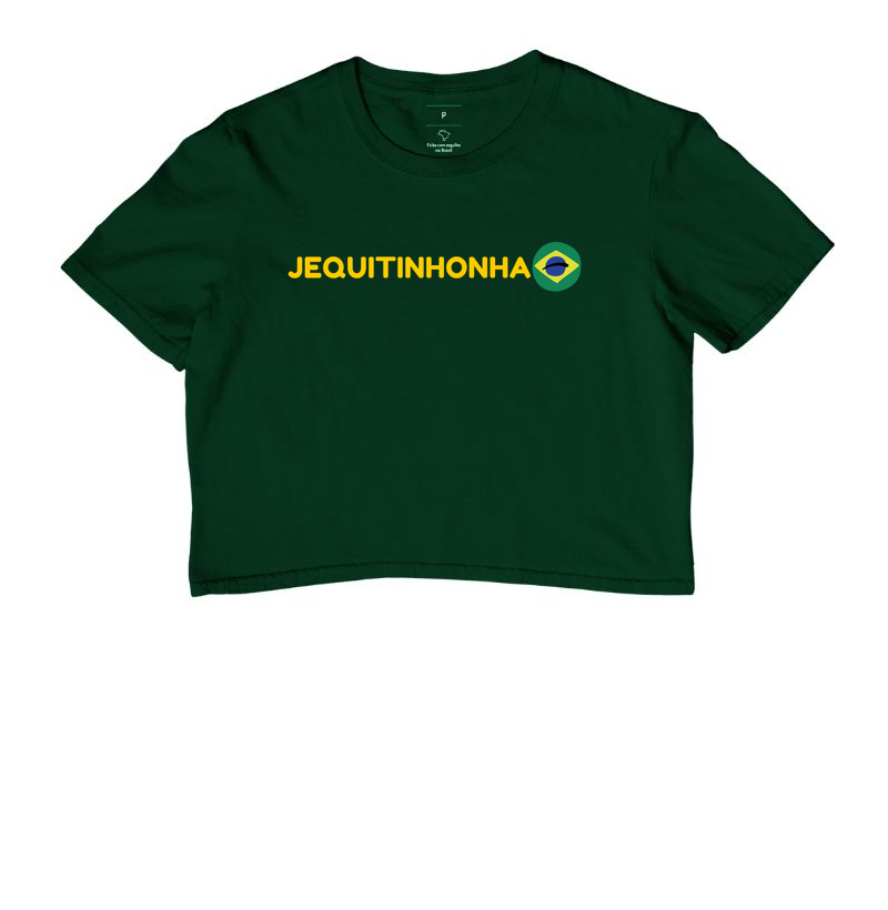 Jequitinhonha - bandeira do Brasil