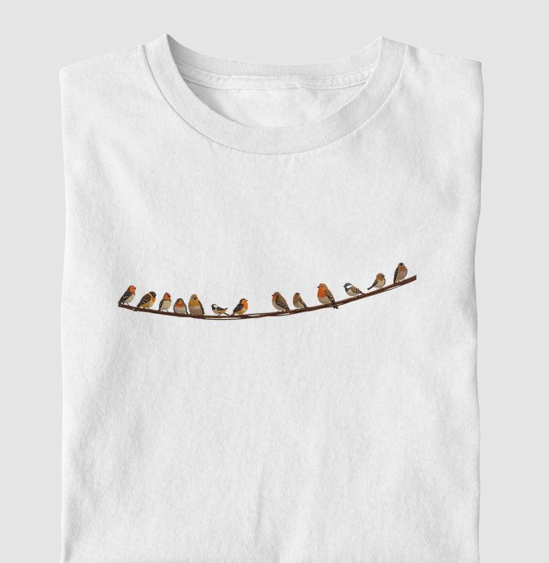 Entre Fios e Telhados