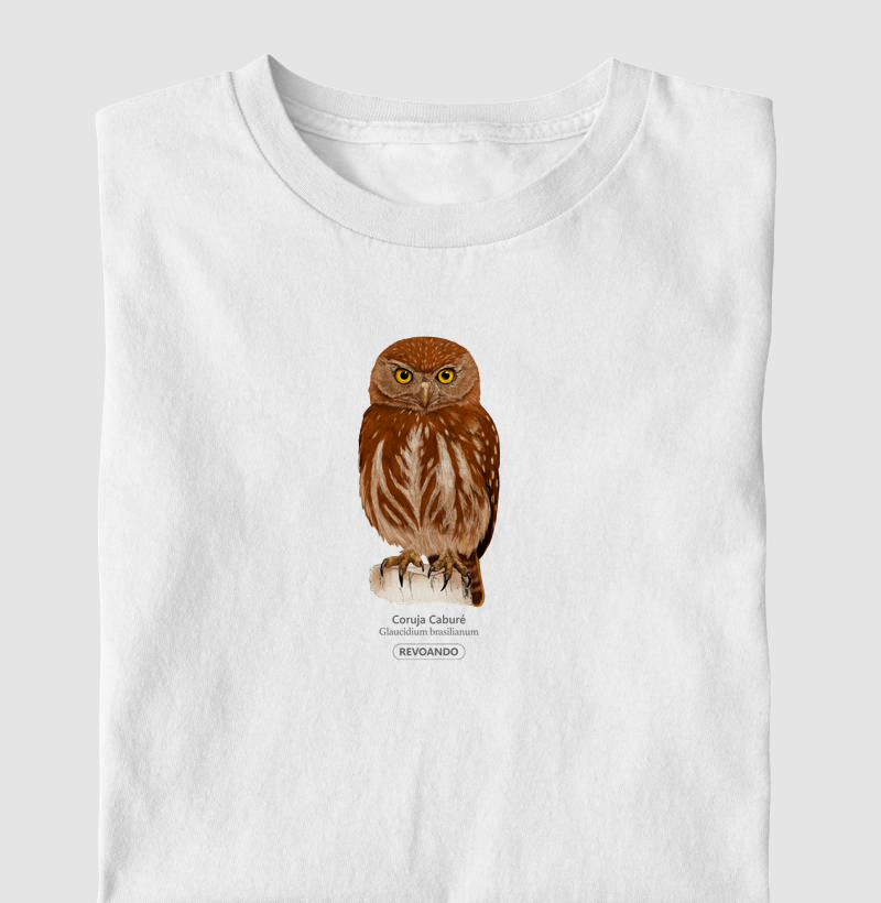 Aves do Brasil - Coruja Caburé - Infantil
