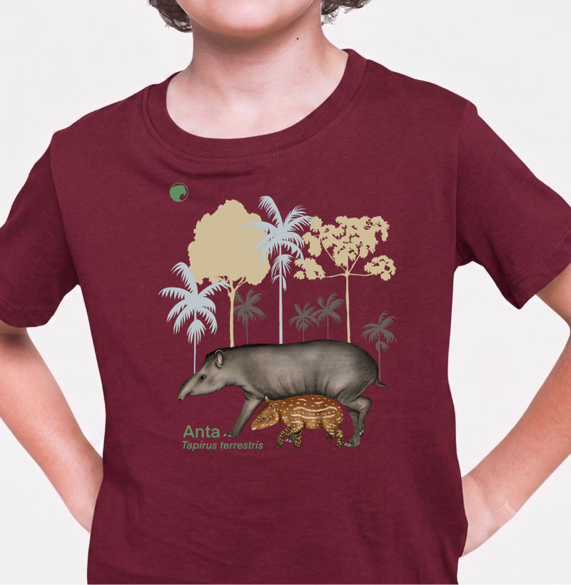 Camiseta Infantil Anta