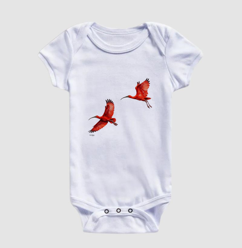 Sinfonia dos Guarás