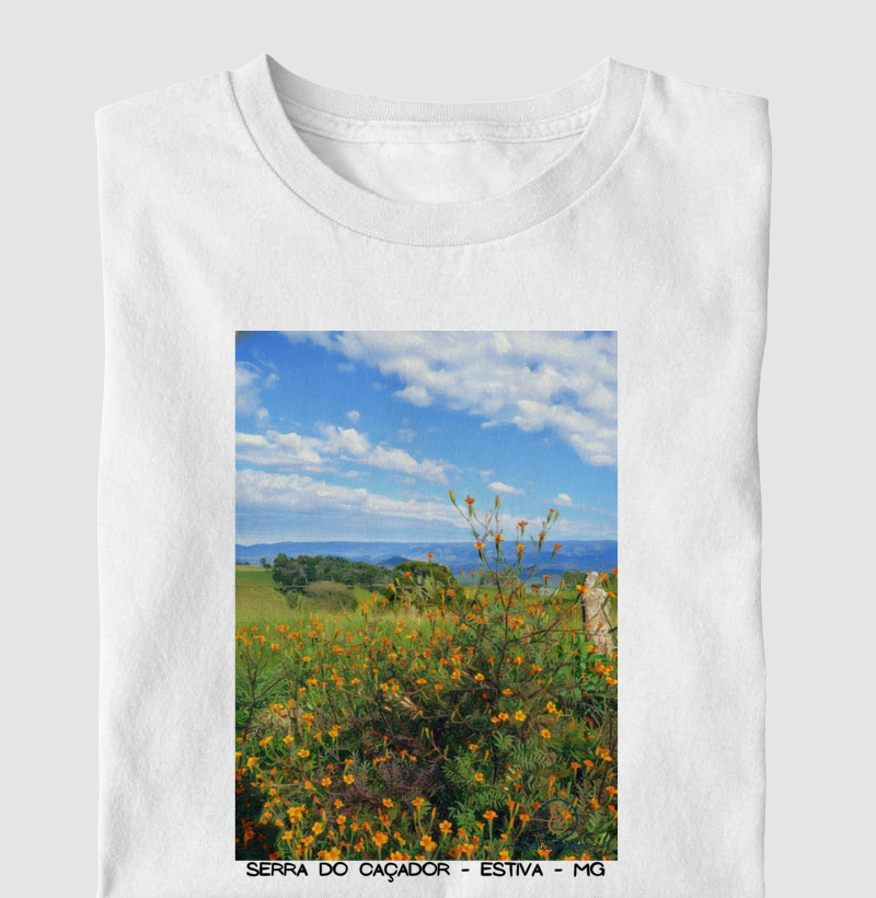 Serra do Caçador Florida (tela)