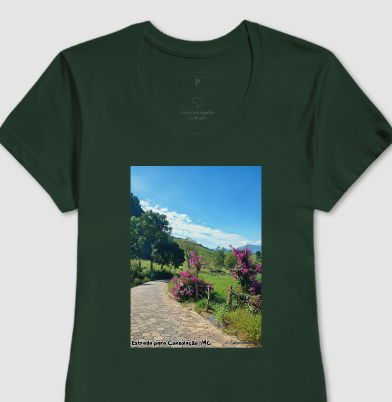 Estrada para Consolação MG (tela)