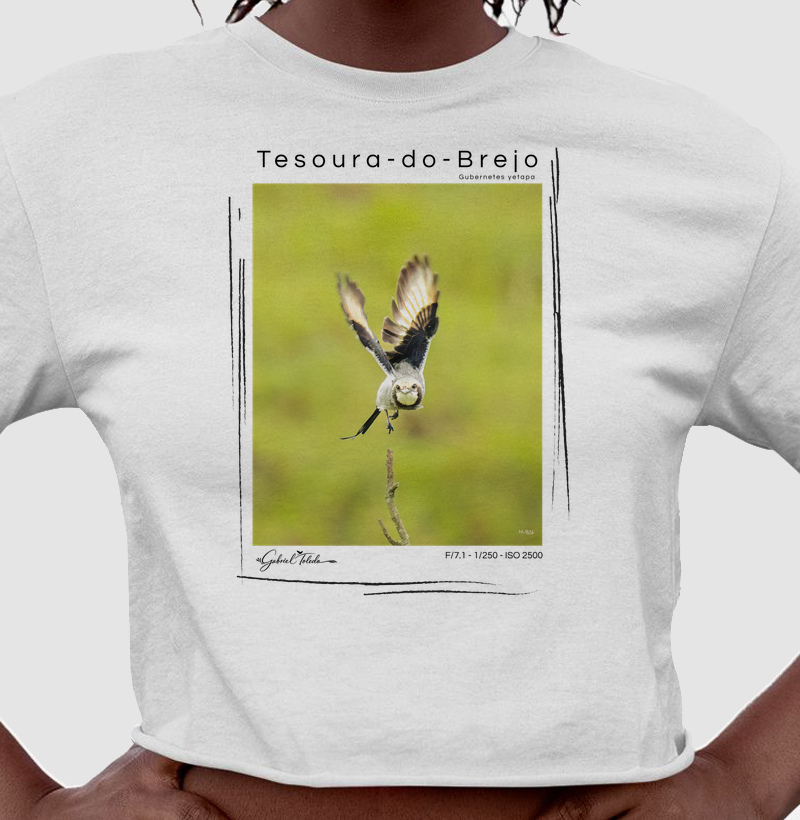 Tesoura-do-Brejo