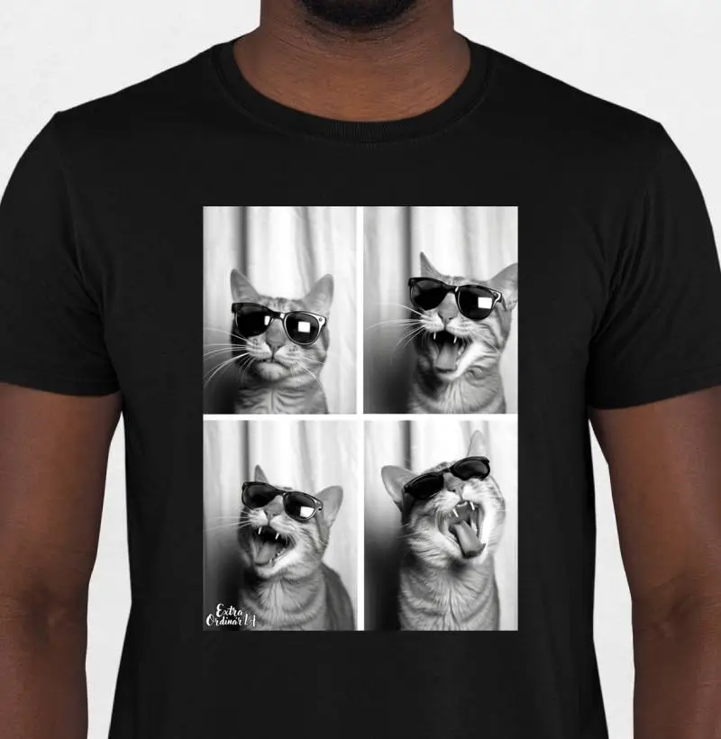 Ensaio Fotografico: Gato de Óculos  