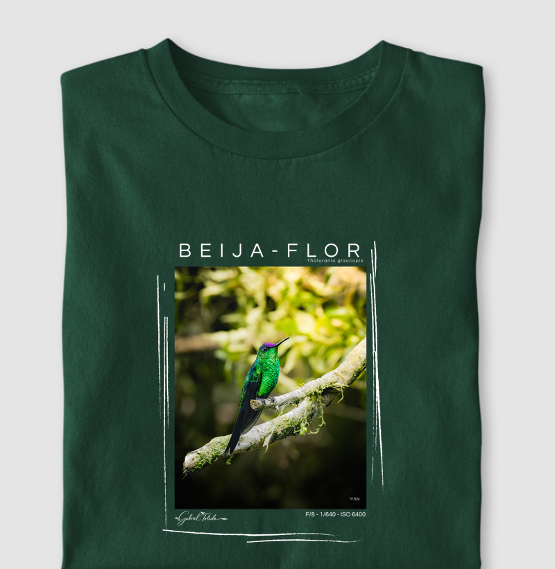 Beija Flor de fronte Violeta