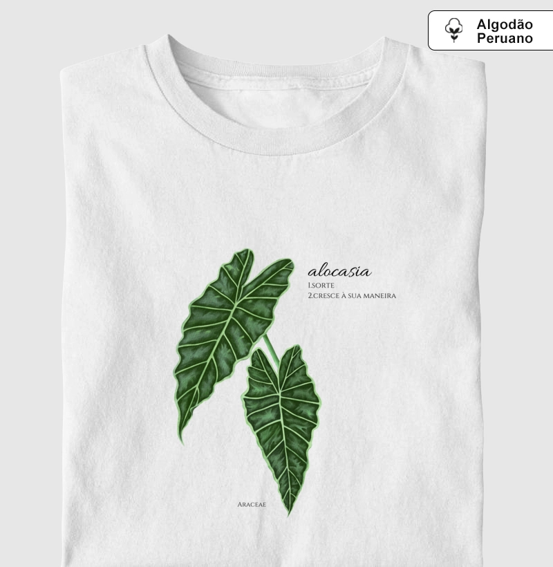 Alocasia