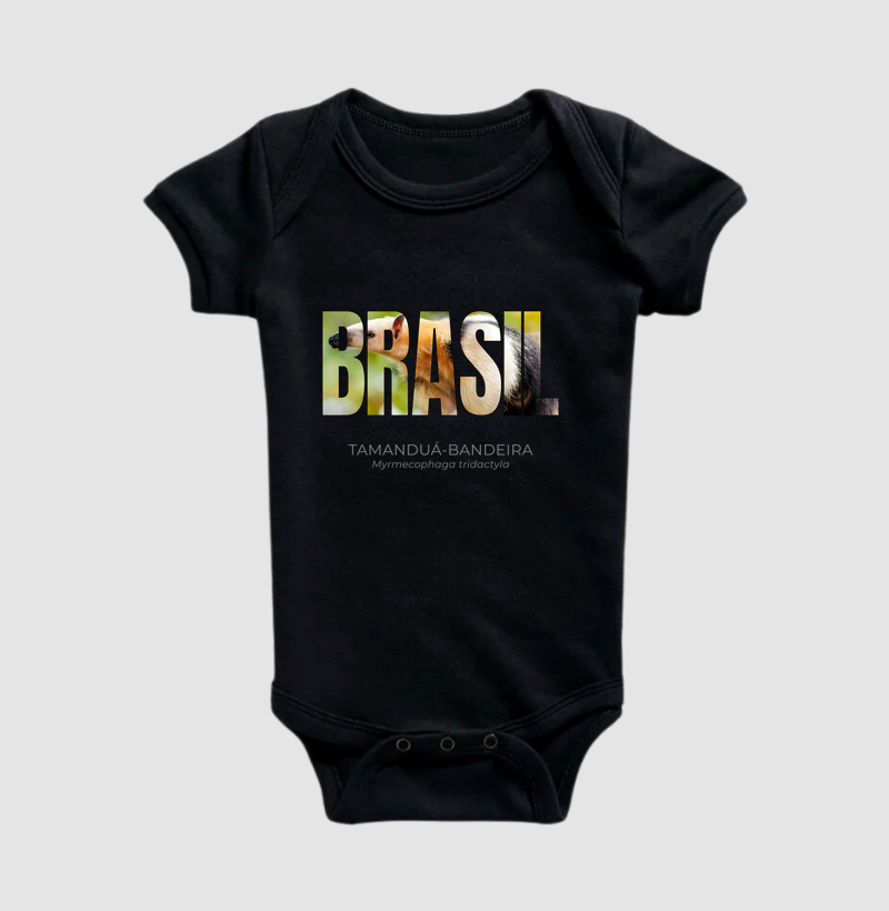 Animais do Brasil - Tamanduá-bandeira