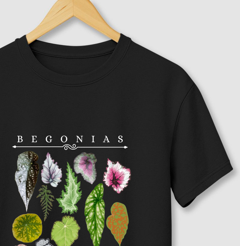 Begonias I