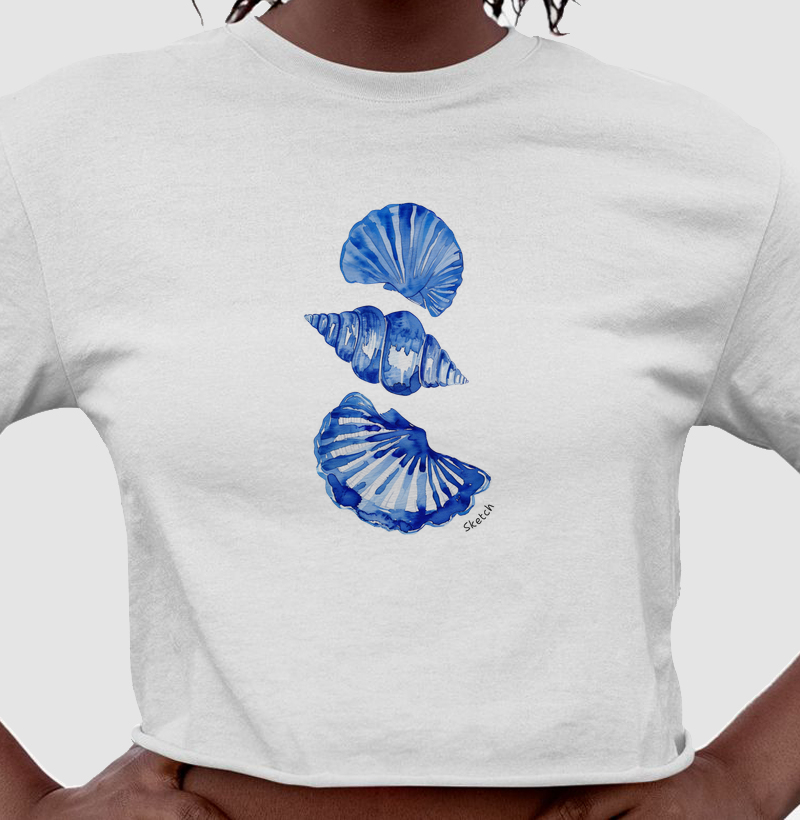 Ocean Shells