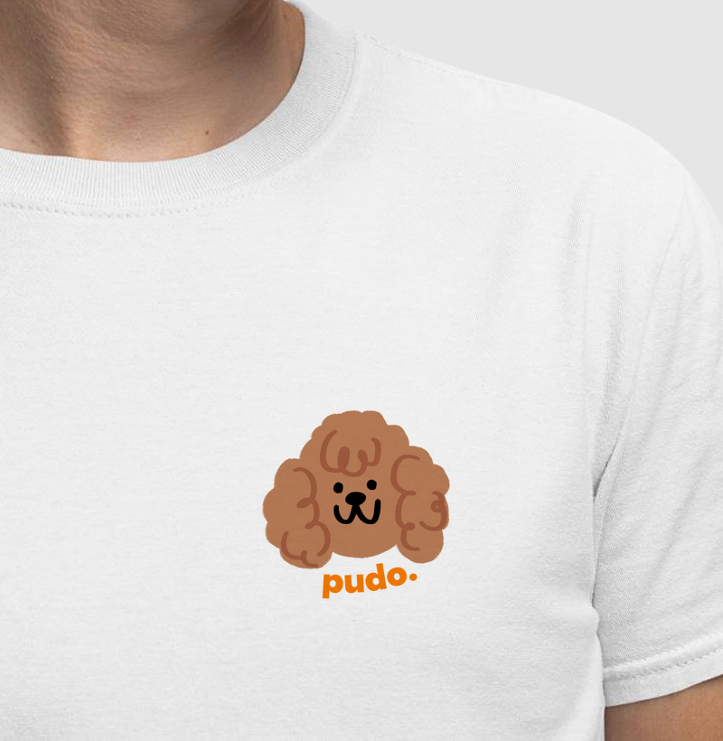 Pudo
