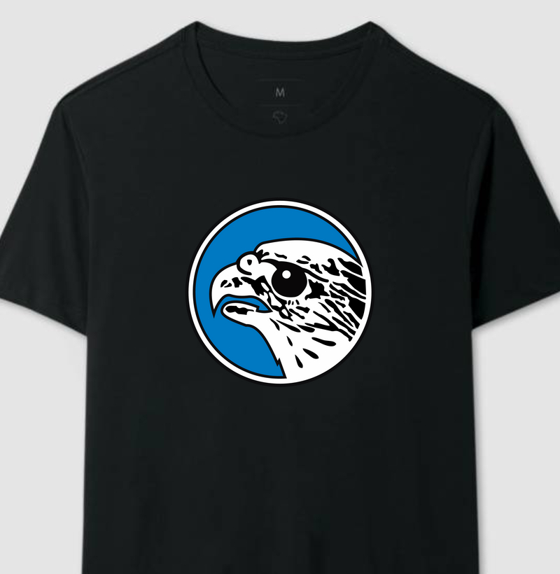 Luftwaffe - JG 51 Jagdgeschwader 51 - Molders 