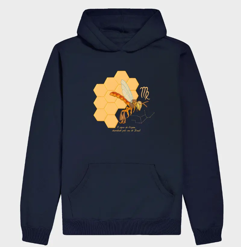 Virgem pelo céu do Brasil