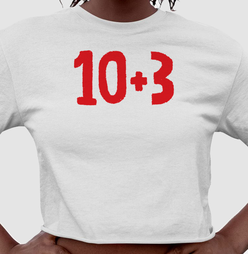 10+3