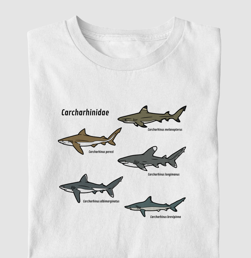 Carcharhinidae - Camiseta