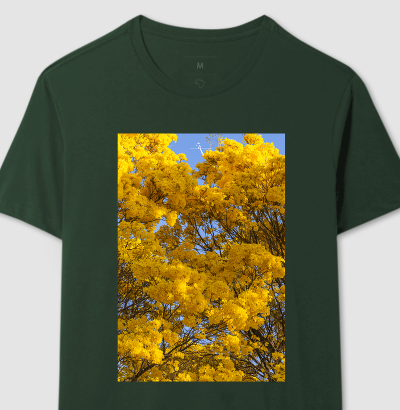 Ipê Amarelo