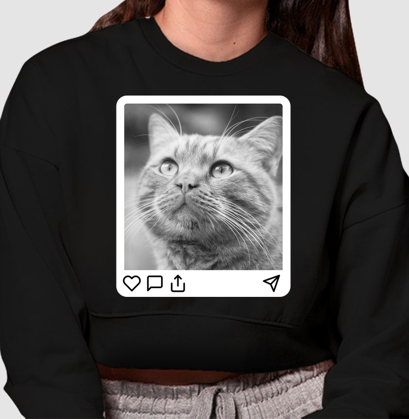 Purrfect Post - Opção Orange Cat