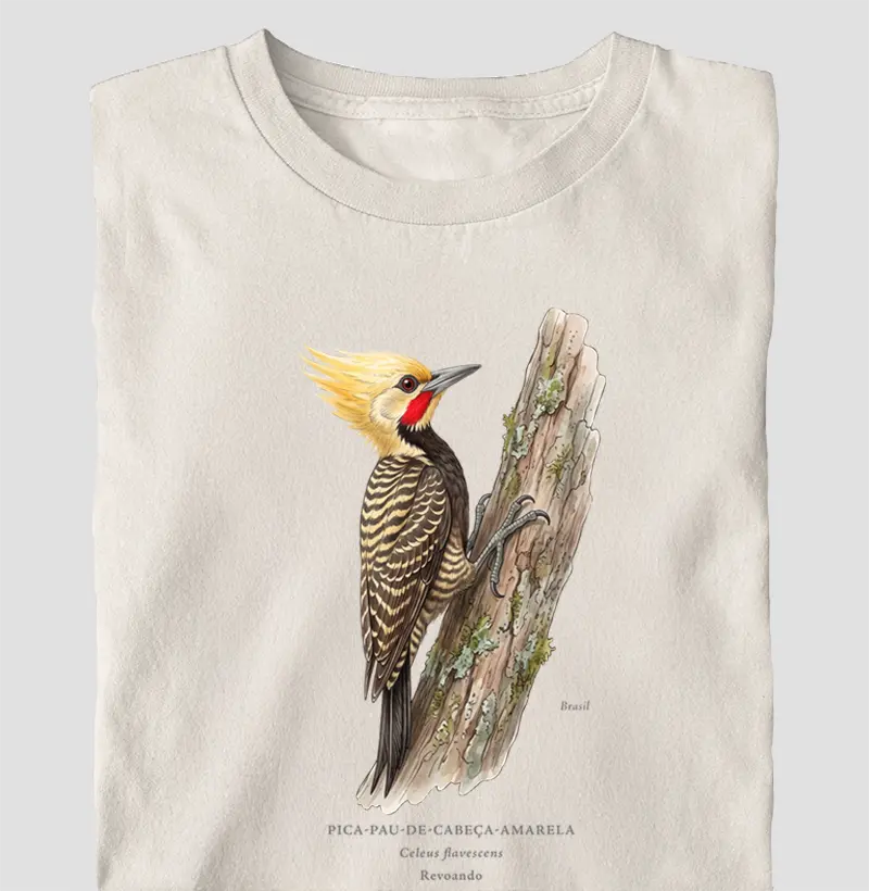 Naturalistas - Pica-pau-de-cabeça-amarela - Oversized - Camiseta Oversized