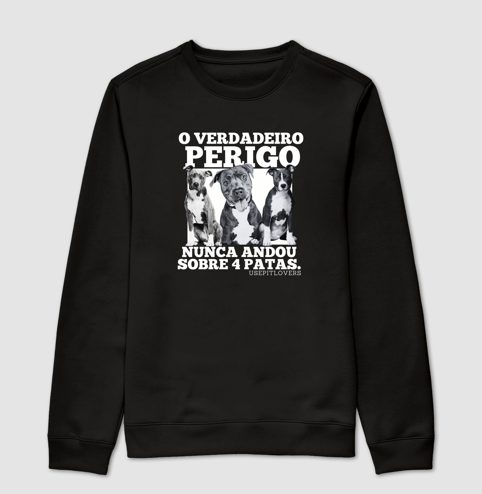 O VERDADEIRO PERIGO NUNCA ANDOU SOBRE 4 PATAS