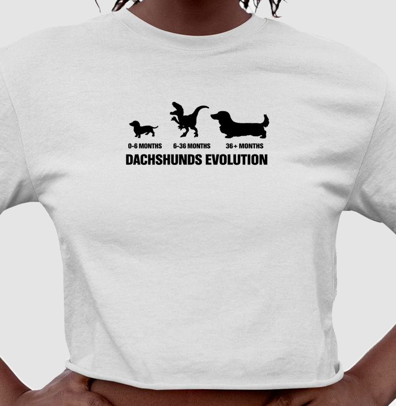 dachshunds Evolution
