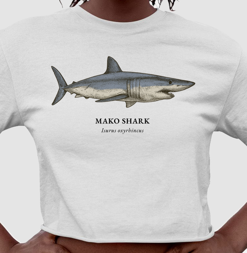 Mako Shark